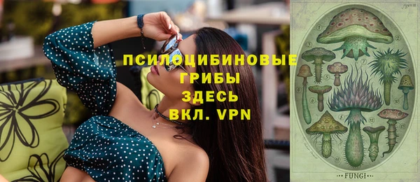 ПСИЛОЦИБИНОВЫЕ ГРИБЫ Балабаново