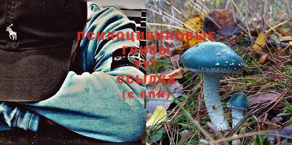 кокс Белокуриха