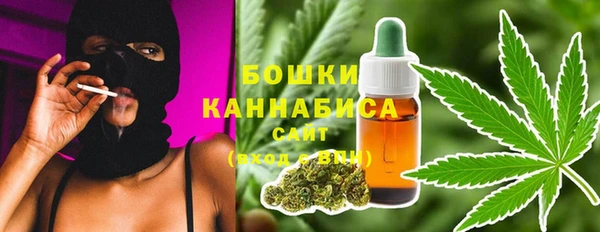 ПСИЛОЦИБИНОВЫЕ ГРИБЫ Балабаново